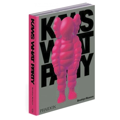 KAWS: What Party PINK Limited Edition в коробке