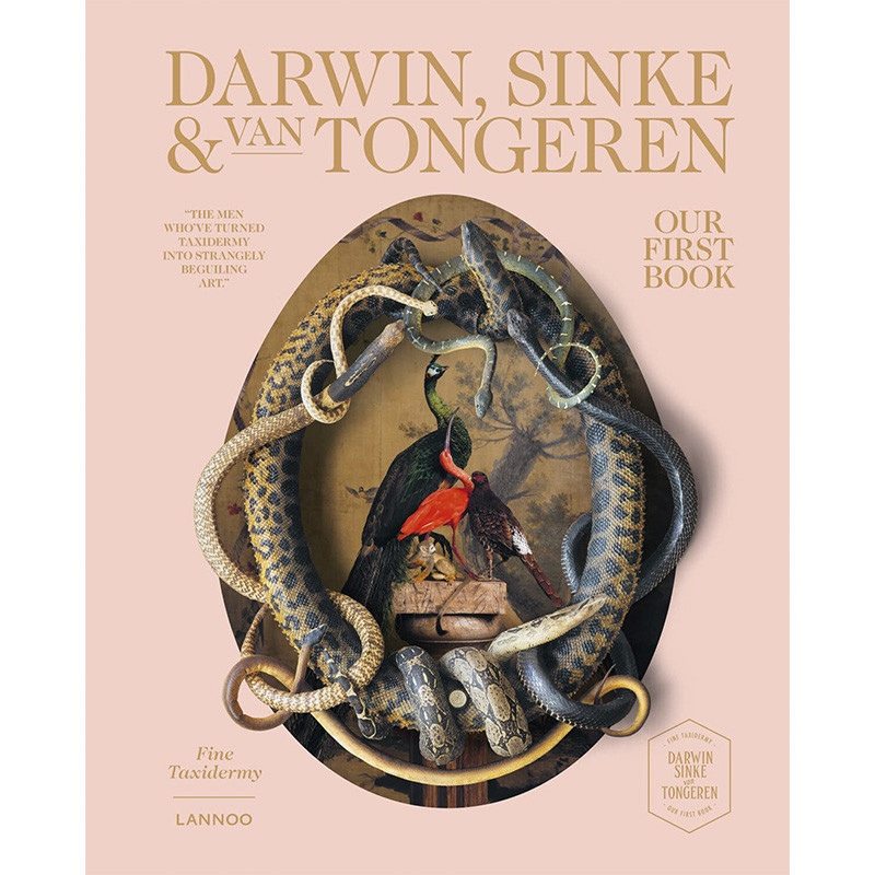 Our First Book: Fine Taxidermy