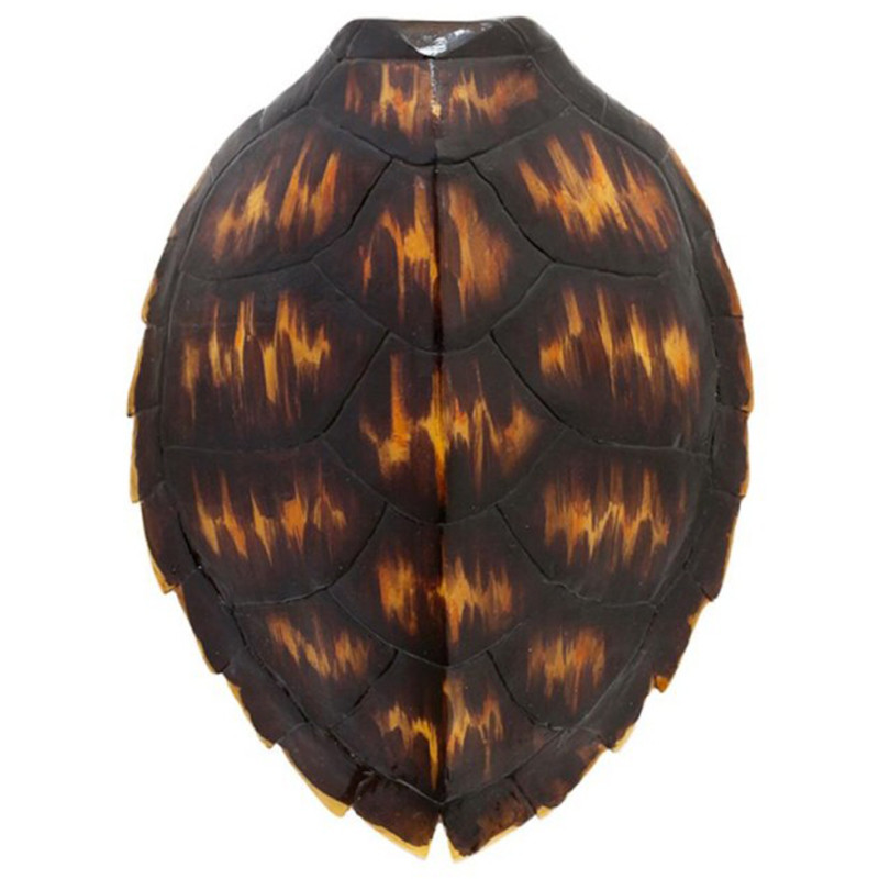 Аксессуар Turtle Shell Brown Orange