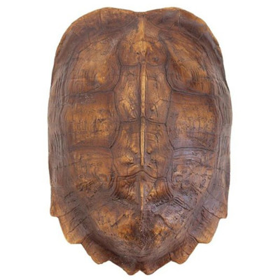 Аксессуар Turtle Shell Natural Light Brown