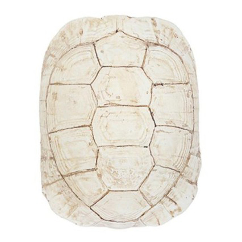 Аксессуар Turtle Shell White