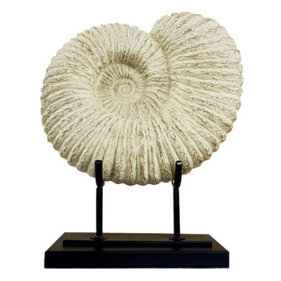 Аксессуар Аммонит Fossil Shell