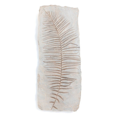 Аксессуар на стену Tropical Leaf