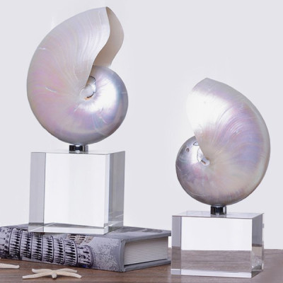 Аксессуар ракушка на Наутилус перламутр на подставке