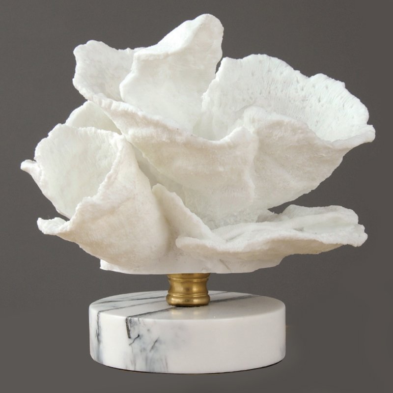 Белый коралл Merulina на подставке