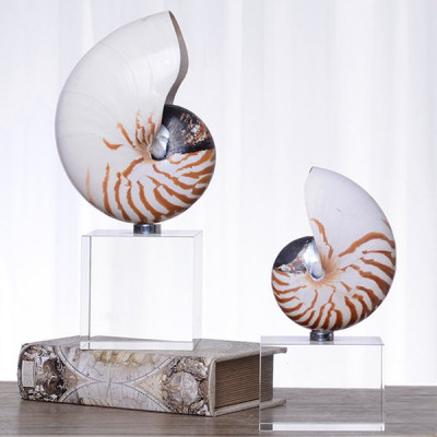 Декоративная статуэтка Shell