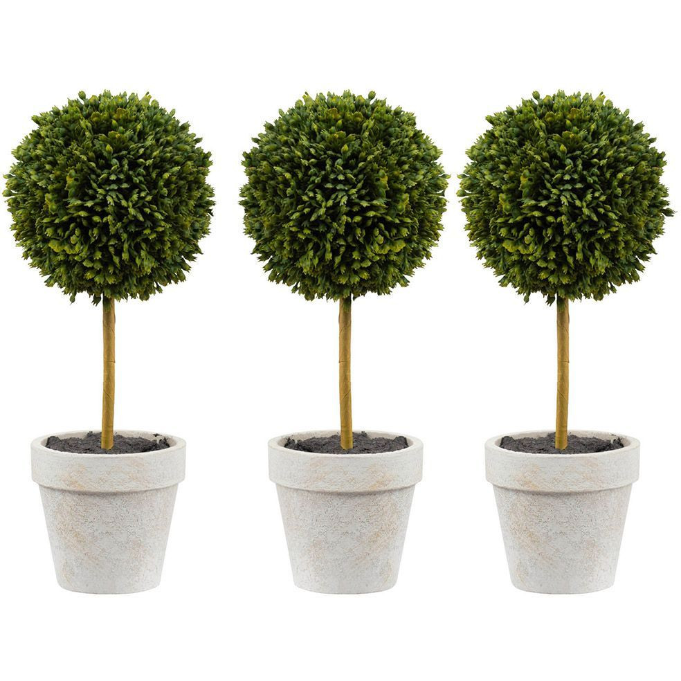 Декоративный искусственное растение Boxwood One
