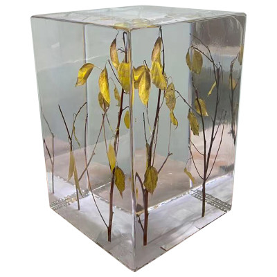 Дизайнерский столик из прозрачного полимера Clear Crystal Display Pedestal with Branches