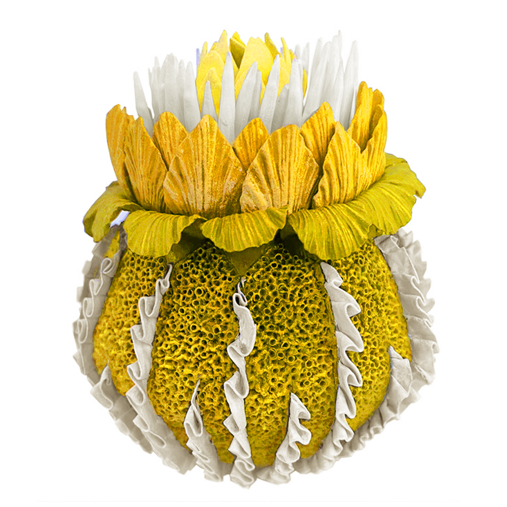 Желтый Экзотический фрукт Yellow Pandora Exotic Fruit 44