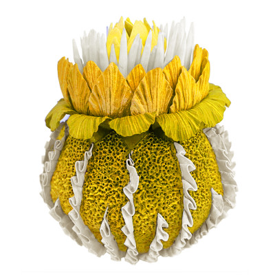 Желтый Экзотический фрукт Yellow Pandora Exotic Fruit  44