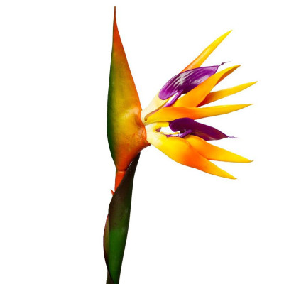 Искусственный цветок Стрелиция