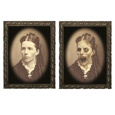 Картина Woman Portrait