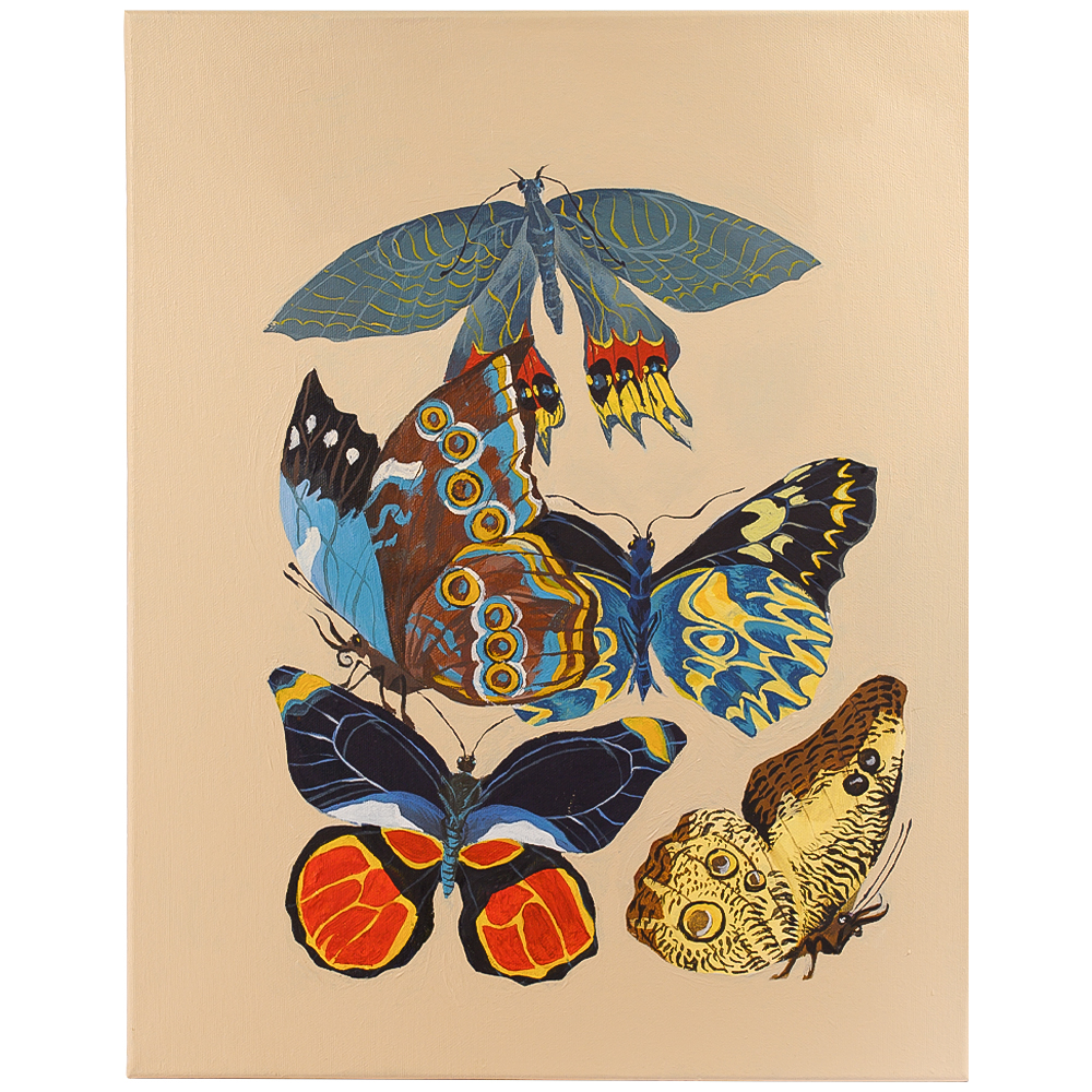 Картина Бабочки The Beauty of Butterflies