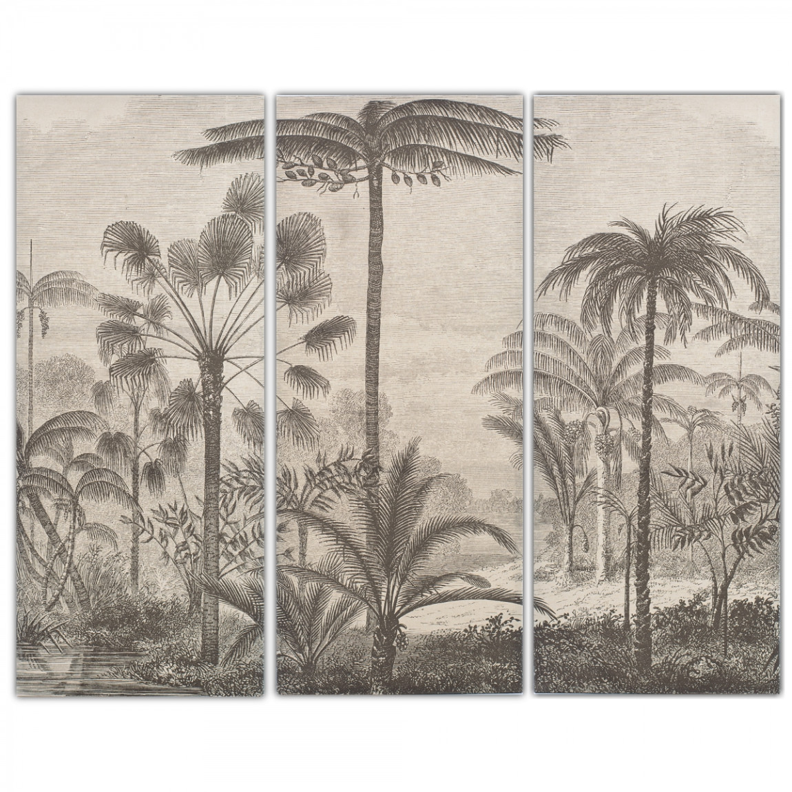 Комплект из 3-х постеров Тропический Лес