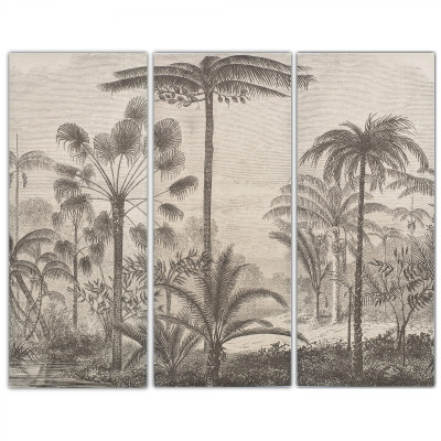 Комплект из 3-х постеров Тропический Лес