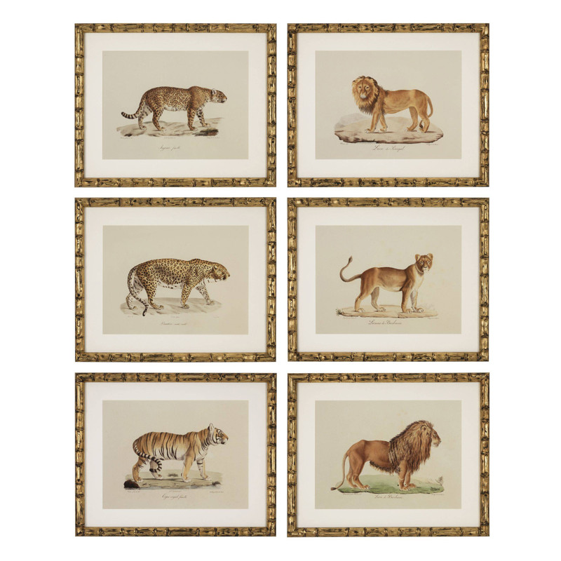 Комплект постеров Eichholtz Prints Lion Tigre Jaguar set of 6