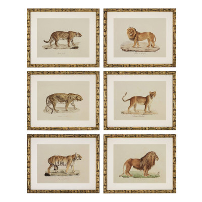 Комплект постеров Eichholtz Prints Lion Tigre Jaguar set of 6