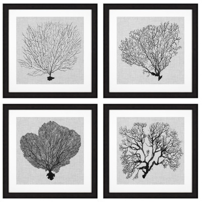 Комплект постеров Eichholtz Prints Shadow Sea Fans set of 4