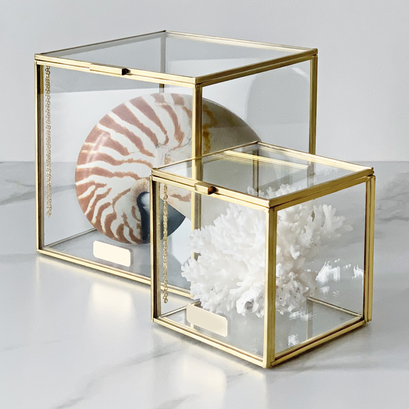 Комплект статуэток Natural Coral & Nautilus Pompilius Glass Box