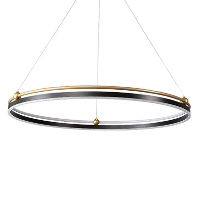 Люстра подвесная в виде тонкого черного кольца с золотыми акцентами Ring Horizontal