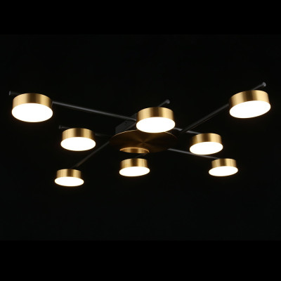 Люстра потолочная светодиодная Delayn