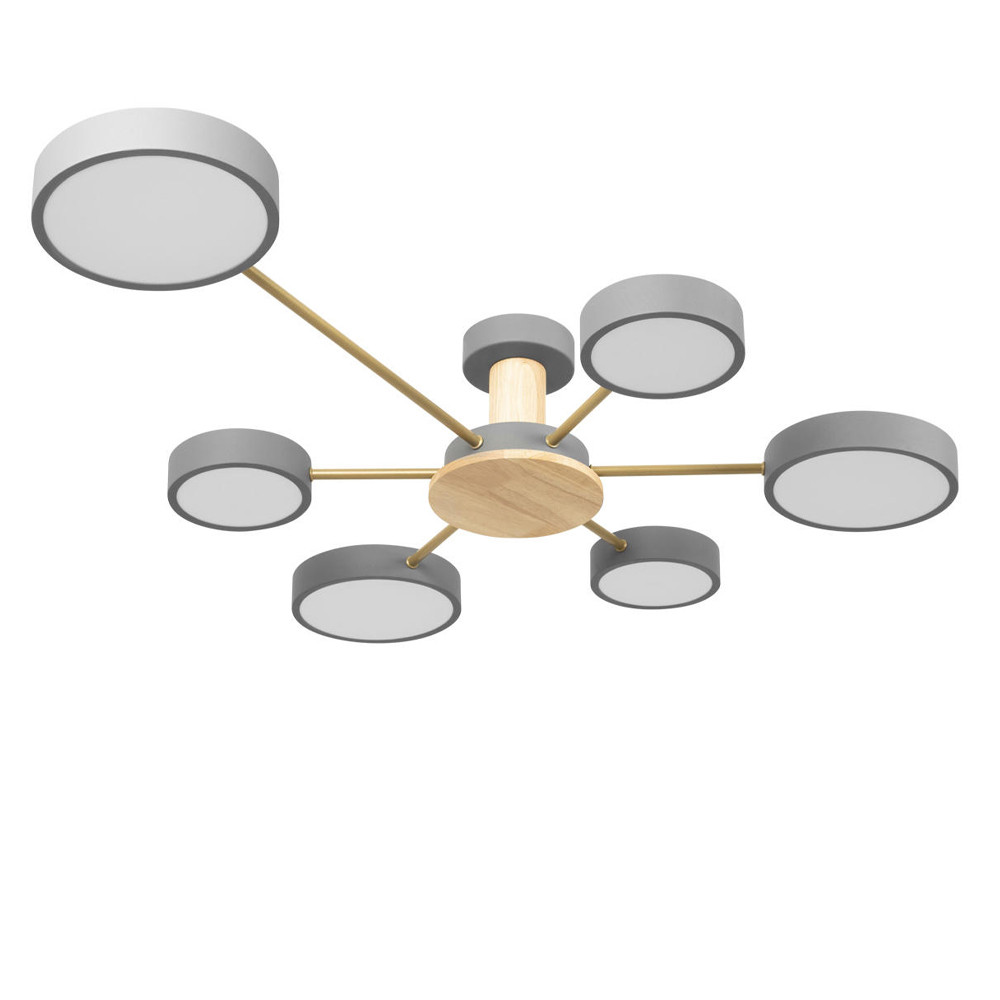 Люстра потолочная светодиодная с 6-ю круглыми плафонами Maxine Light