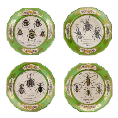 Набор тарелок Four Subjects жуки