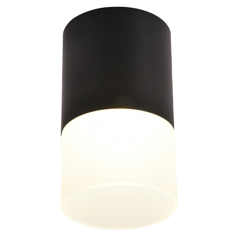 Накладной спот черного цвета Sydney