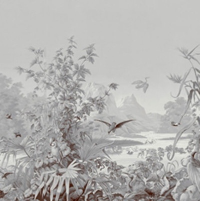 Обои ручная роспись Brazil Grey