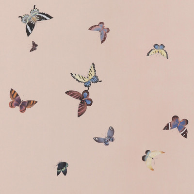 Обои ручная роспись Butterflies Icarus on Gentleman's Pink dyed silk