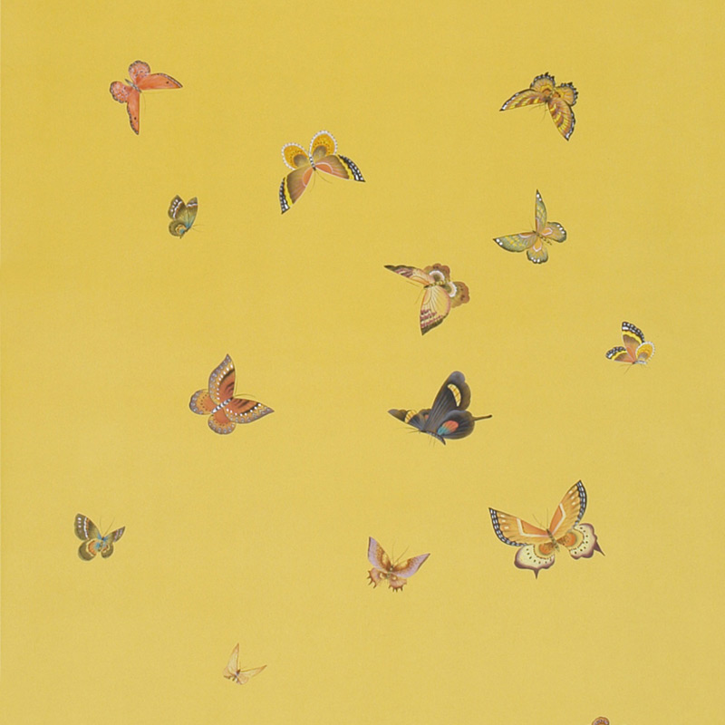 Обои ручная роспись Butterflies Monarch on dyed paper