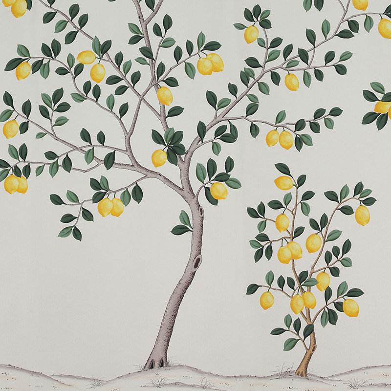 Обои ручная роспись Lemon Grove Bleached White