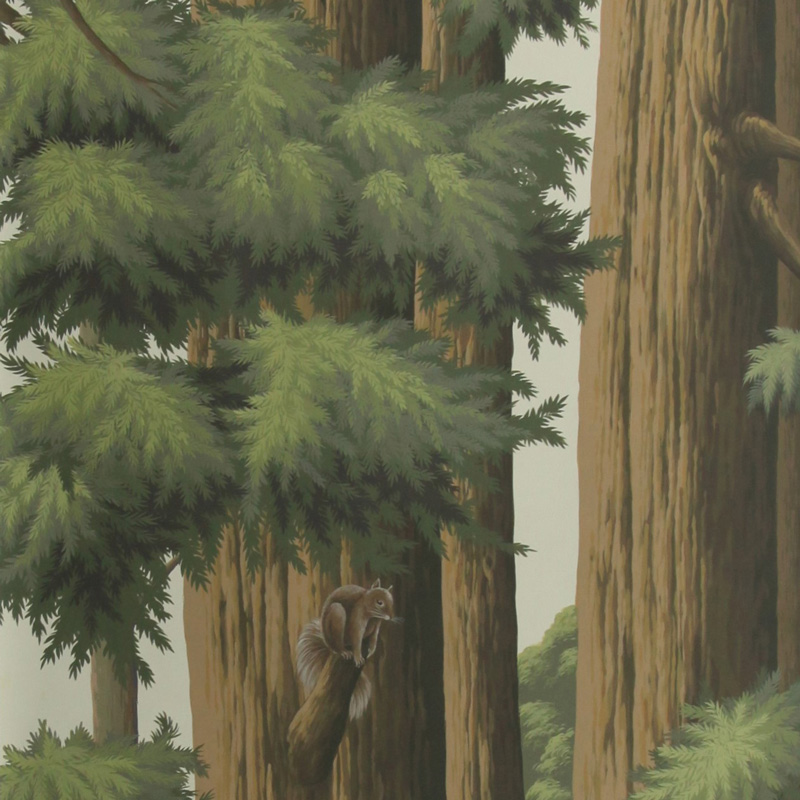 Обои ручная роспись Redwoods Colourway SC-281 on scenic paper