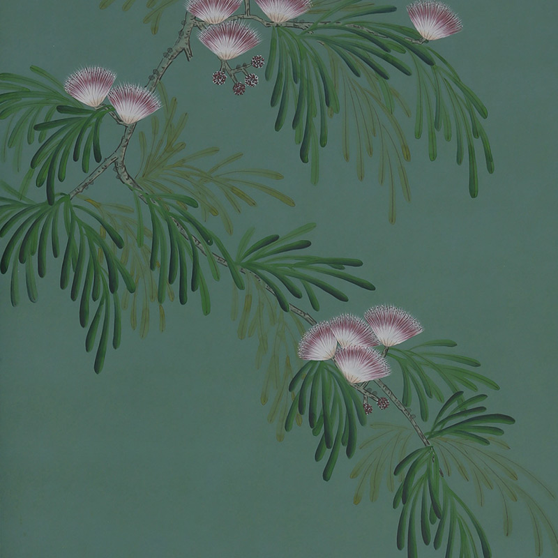 Обои ручная роспись Silk Tree Blossom on Sung Green Williamsburg