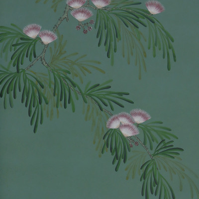 Обои ручная роспись Silk Tree Blossom on Sung Green Williamsburg