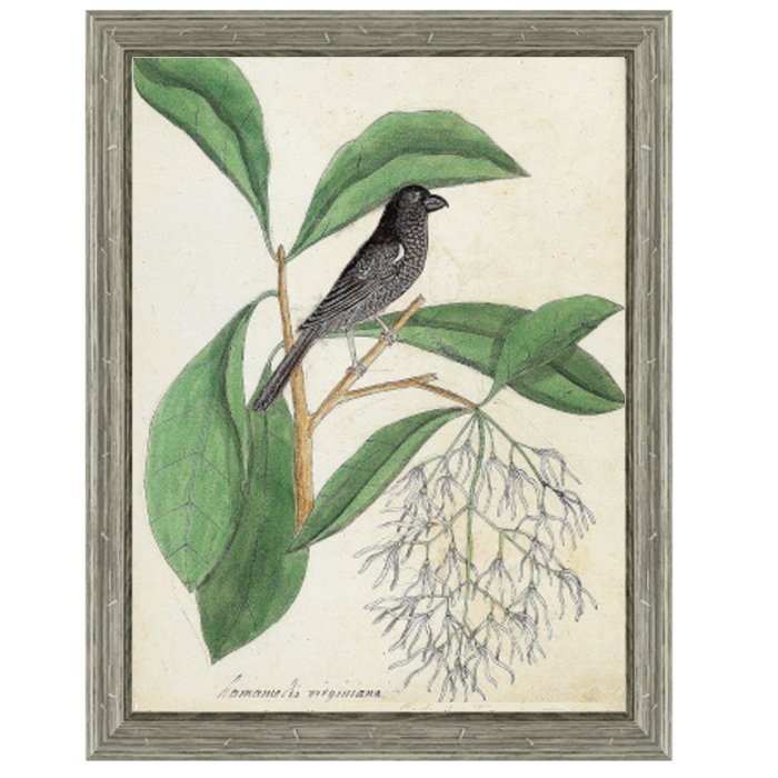 Постер Black Bird & White Flowers