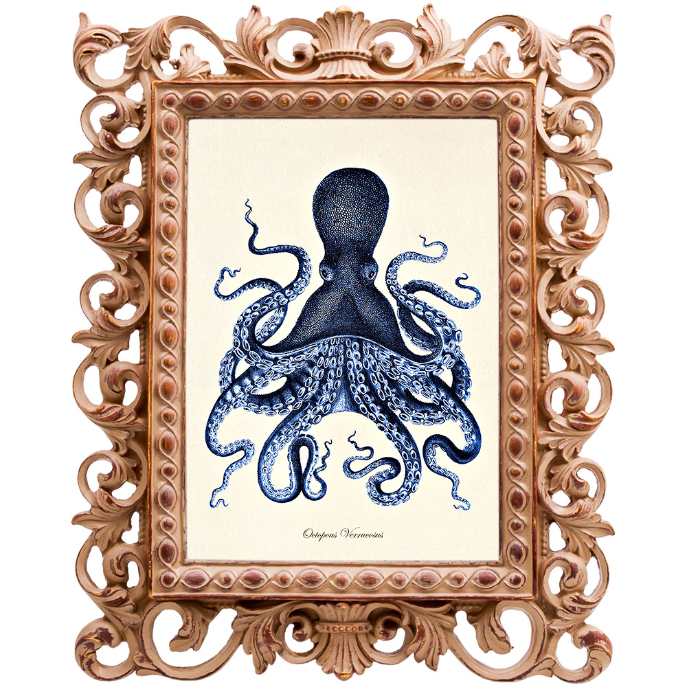 Постер Blue Octopus Poster