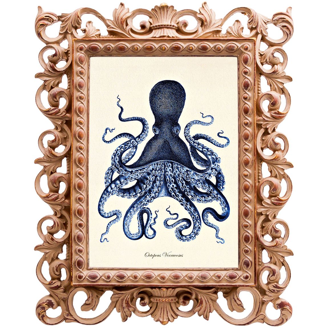 Постер Blue Octopus Poster
