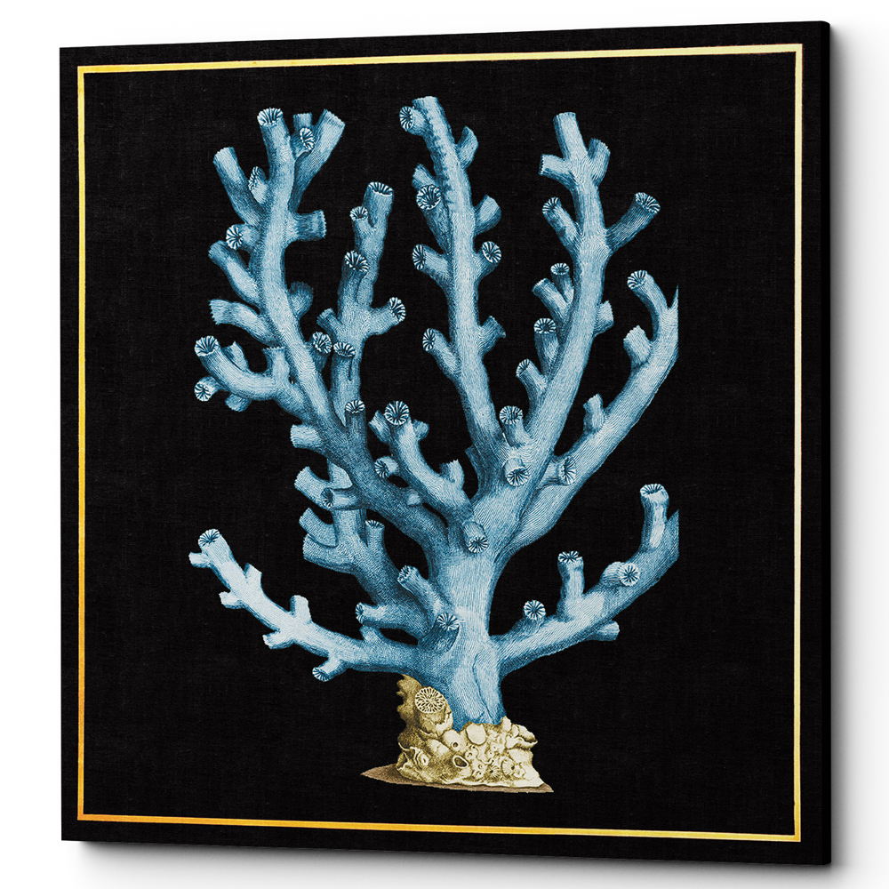 Постер Coral Poster