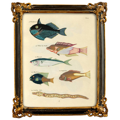 Постер в багетной раме Seabed Print 4