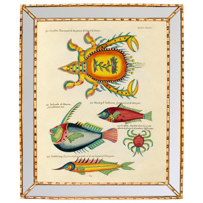 Постер в зеркальной раме Fish Guide 8