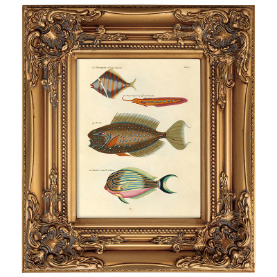 Постер в раме из натурального дерева Fishes