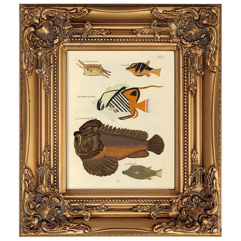 Постер в раме из натурального дерева Fishes 6
