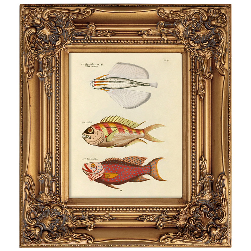 Постер в раме из натурального дерева Fishes 7
