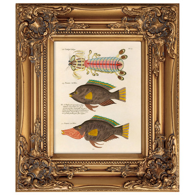 Постер в раме из натурального дерева Fishes 8