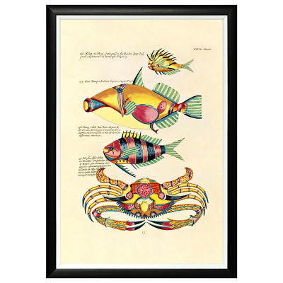 Постер в черной раме Fish Guide 22