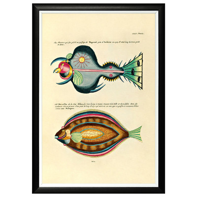 Постер в черной раме Fish Guide 27