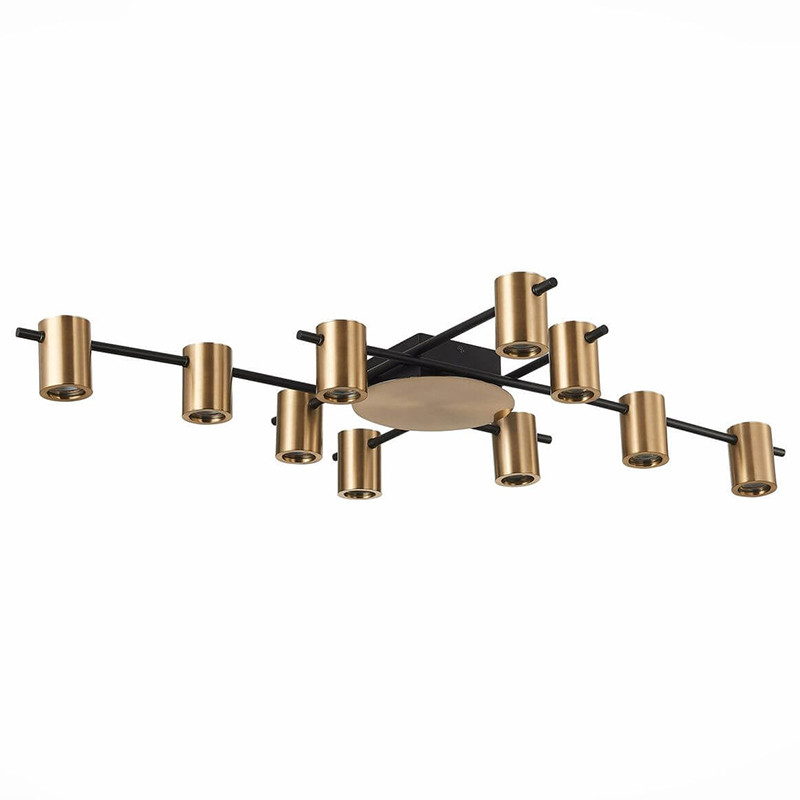 Потолочный светильник Aigle Ceiling Light 10