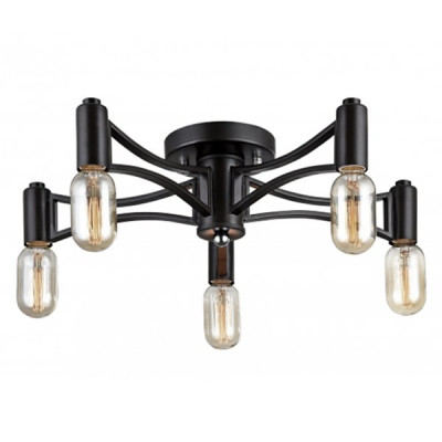 Потолочный светильник Loft Droplet Top