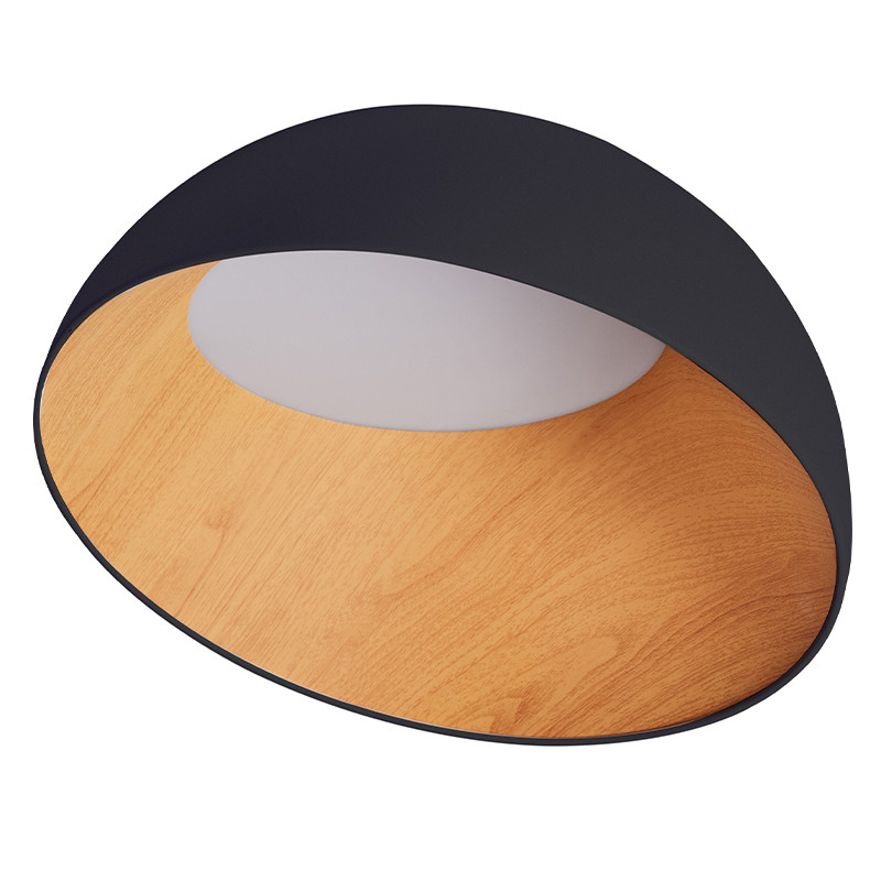 Потолочный светильник полукруглой формы из стали и акрила Black Matte Egg